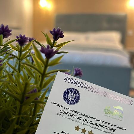 Central Cosy Apartment クルージュ＝ナポカ エクステリア 写真