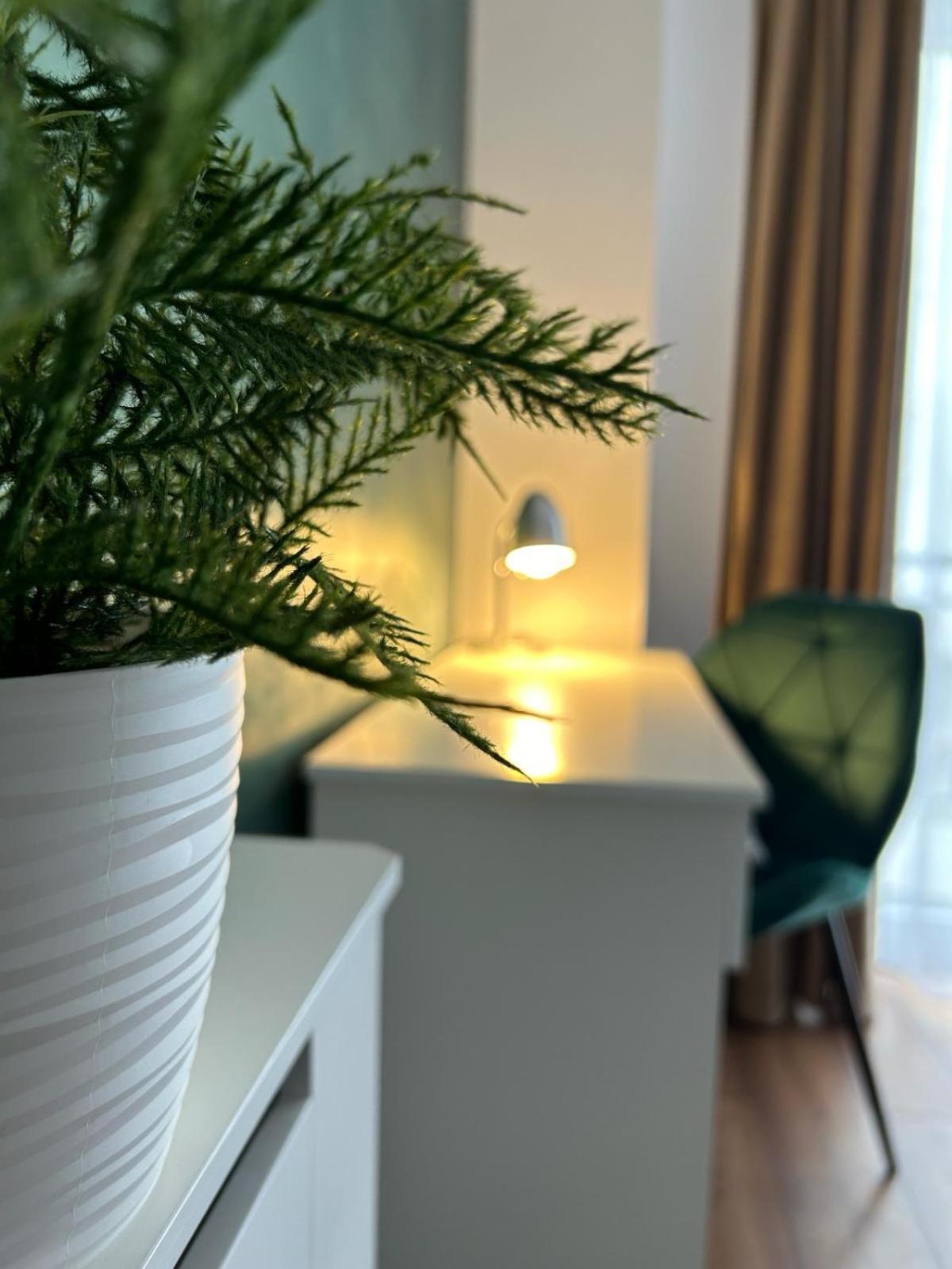 Central Cosy Apartment クルージュ＝ナポカ エクステリア 写真